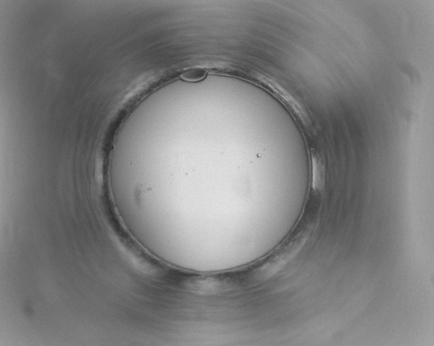 X0000115830253200911271205