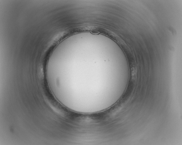 X0000115830254200911271205