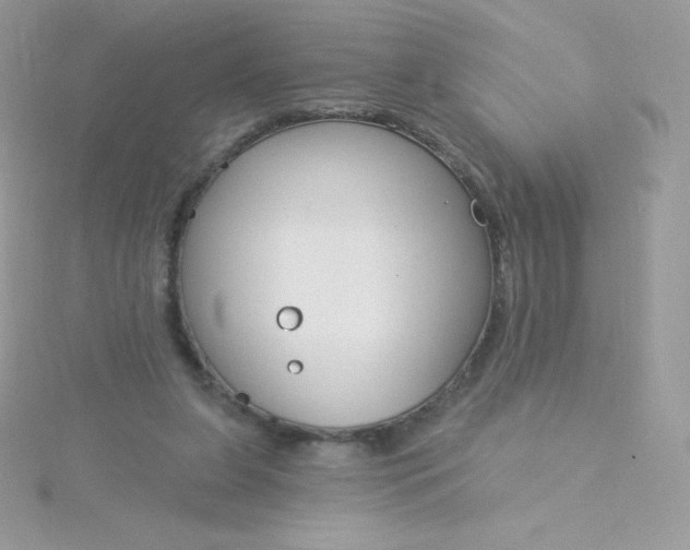 X0000115830255200911271205