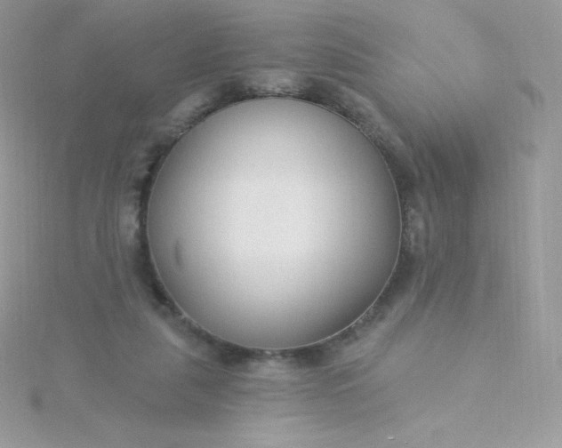 X0000115830259200911271205