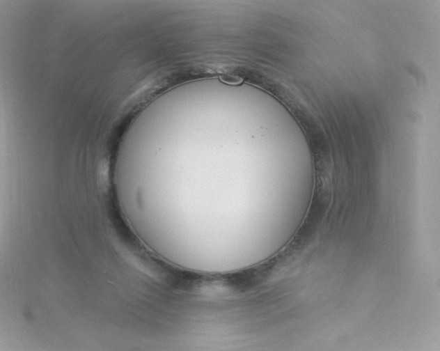 X0000115830262200911271205