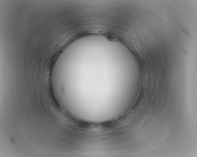 X0000115830263200911271205