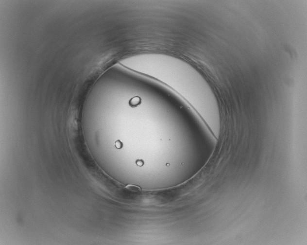 X0000115830264200911271205