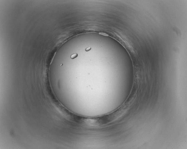 X0000115830265200911271205