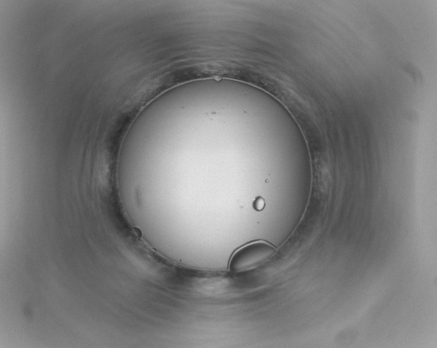 X0000115830266200911271205