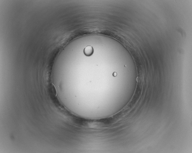 X0000115830268200911271205