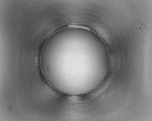 X0000115830269200911271205