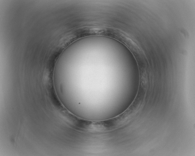 X0000115830270200911271205