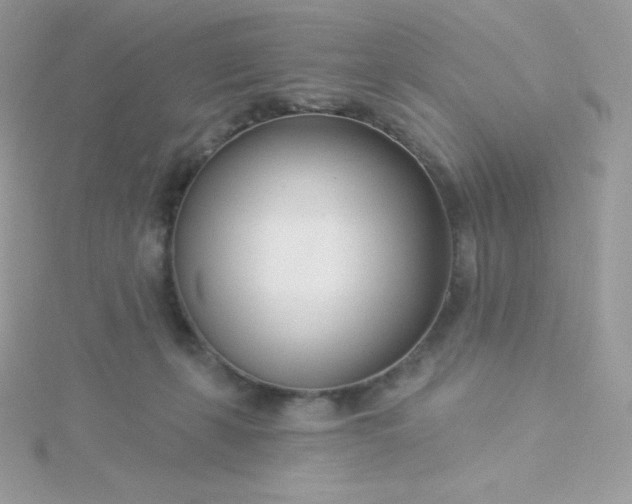 X0000115830271200911271205