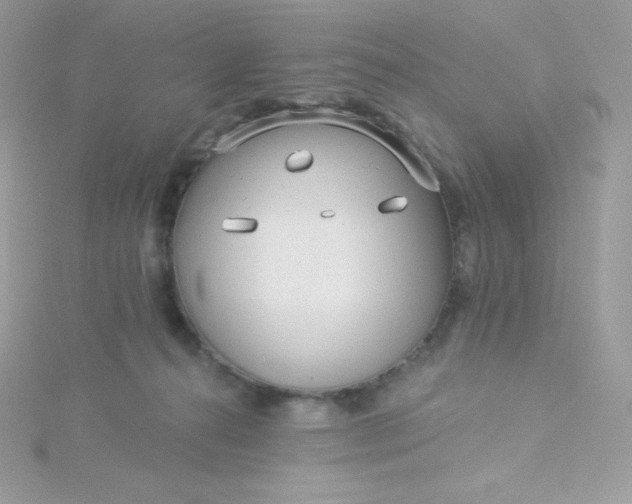 X0000115830272200911271205