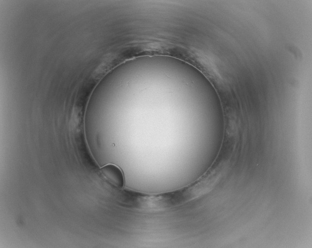 X0000115830273200911271205