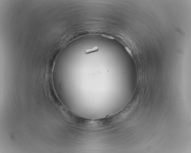 X0000115830277200911271205