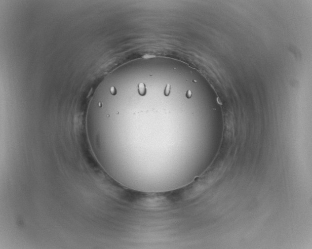 X0000115830278200911271205