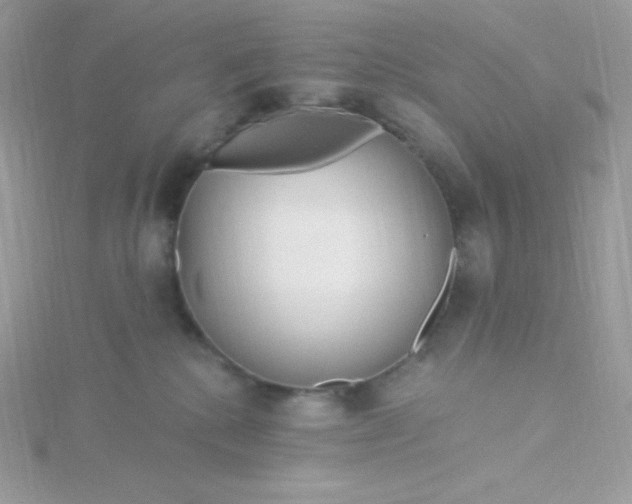 X0000115830280200911271205