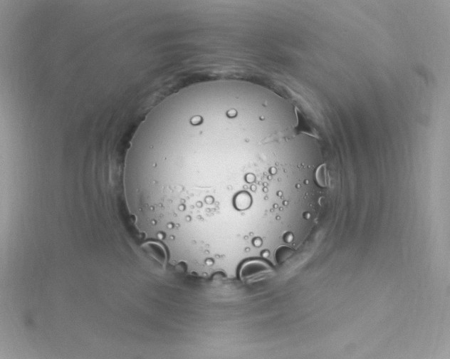 X0000115830281200911271205