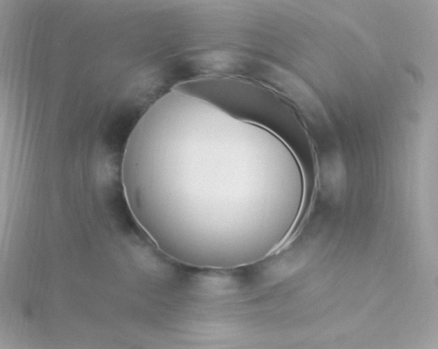 X0000115830284200911271205