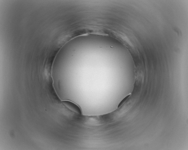 X0000115830285200911271205