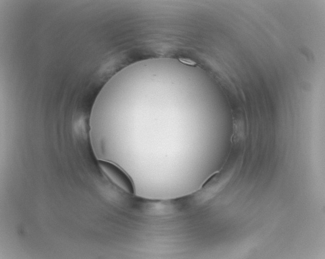 X0000115830286200911271205