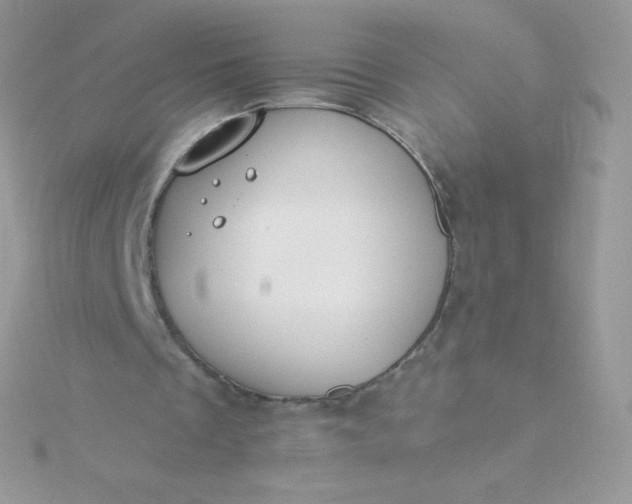 X0000115830289200911271205