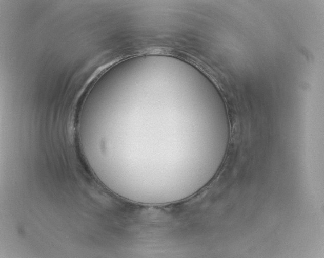 X0000115830290200911271205