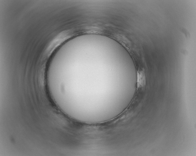 X0000115830291200911271205