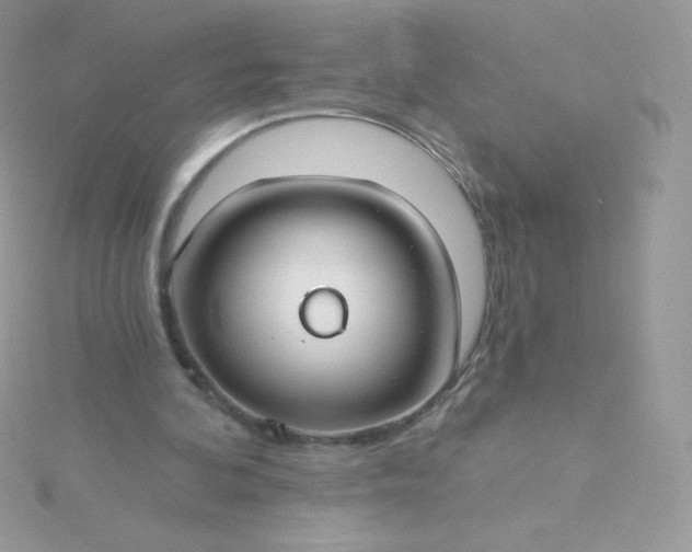 X0000115830292200911271205