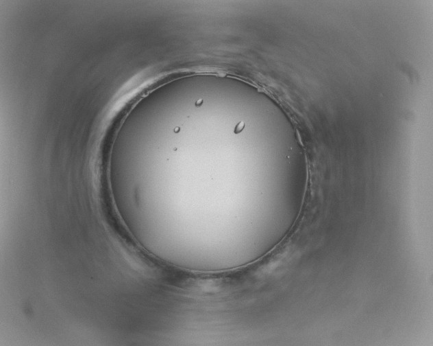 X0000115830295200911271205