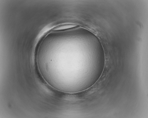 X0000115830296200911271205