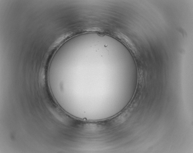 X0000115830298200911271205