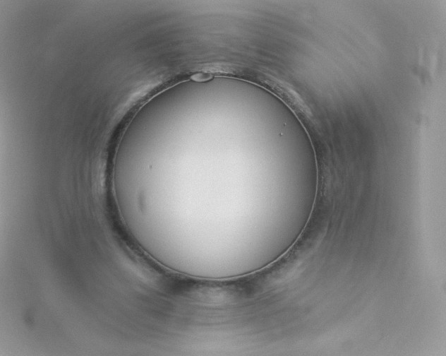 X0000115830299200911271205