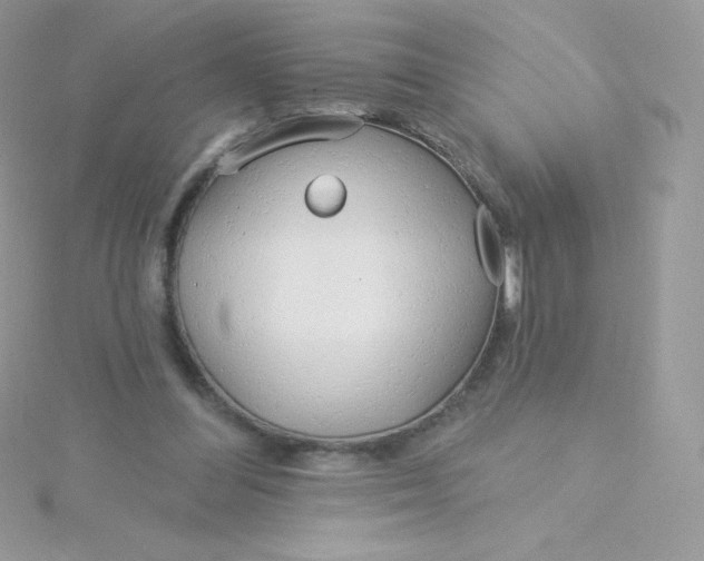 X0000115830300200911271205