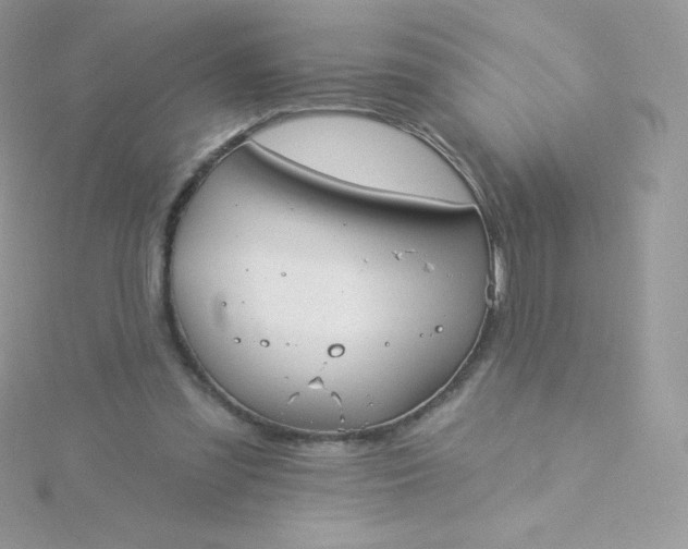 X0000115830301200911271205