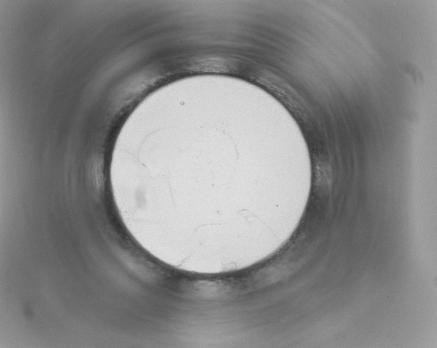 X0000115830302200911271205