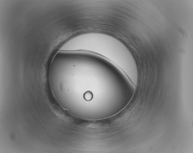 X0000115830303200911271205