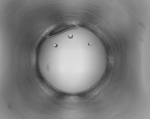 X0000115830304200911271205