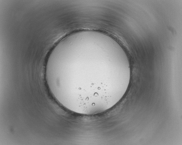 X0000115830305200911271205