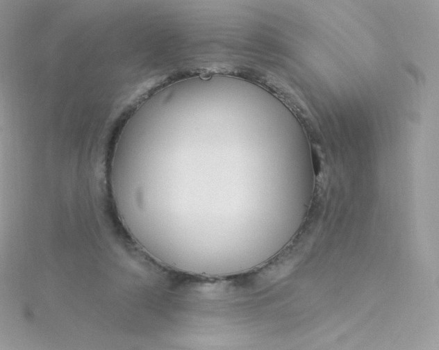 X0000115830306200911271205