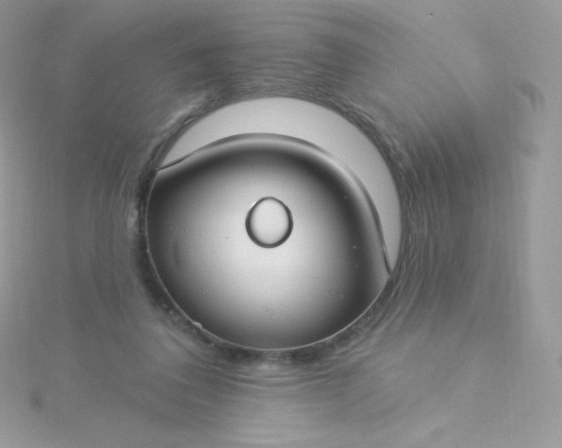 X0000115830308200911271205