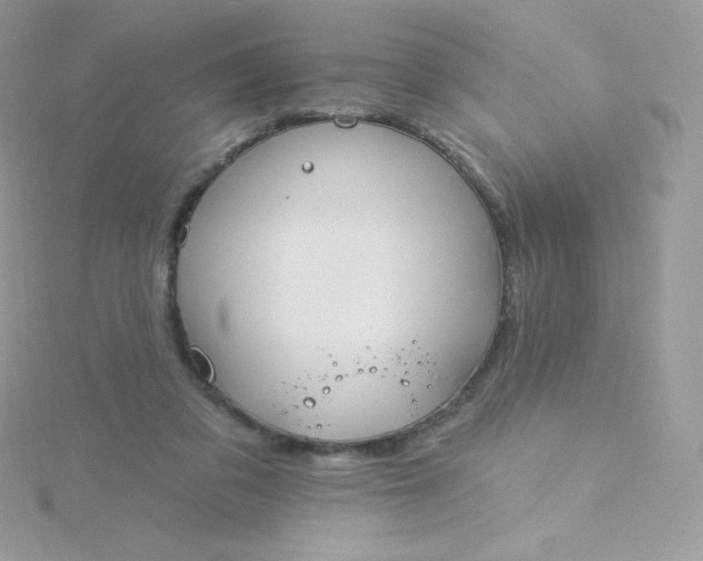 X0000115830309200911271204