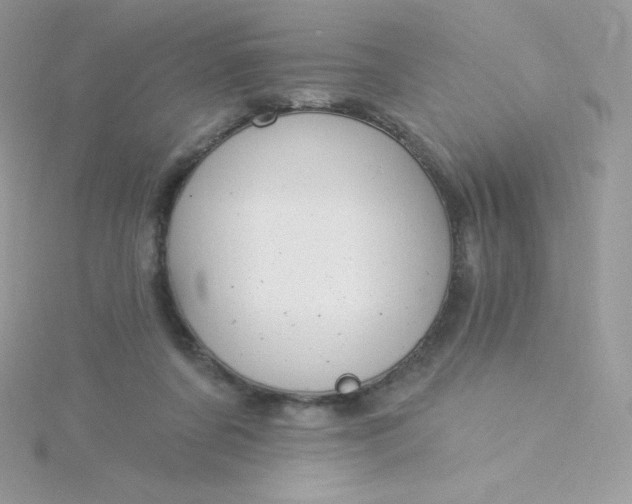 X0000115830311200911271204