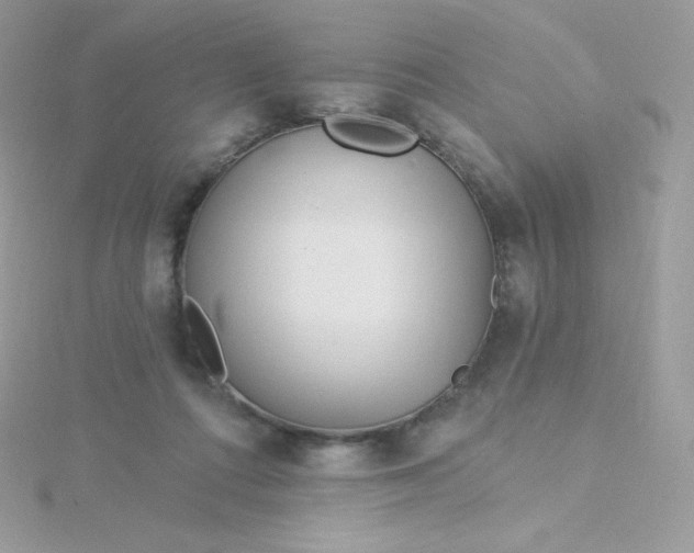 X0000115830312200911271204