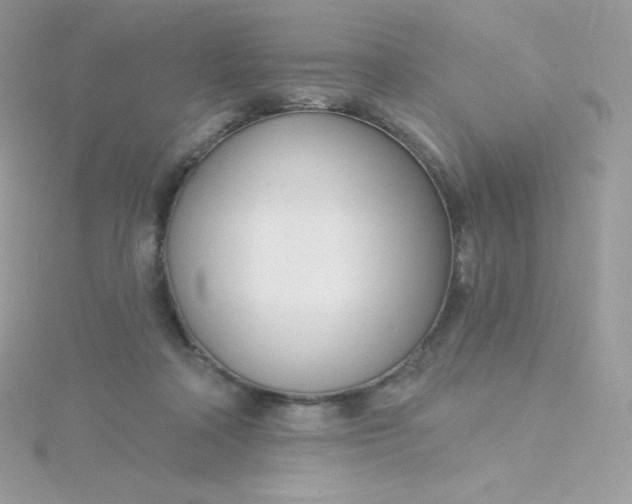 X0000115830314200911271204