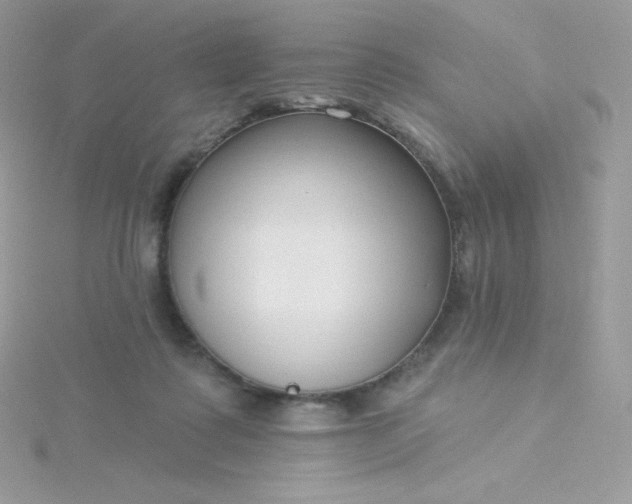 X0000115830315200911271204