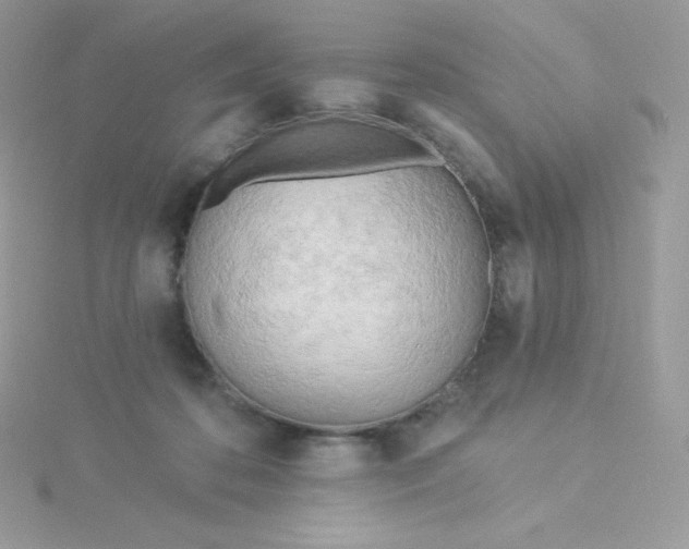 X0000115830316200911271204