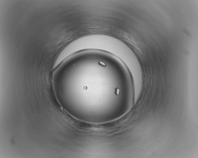 X0000115830317200911271204