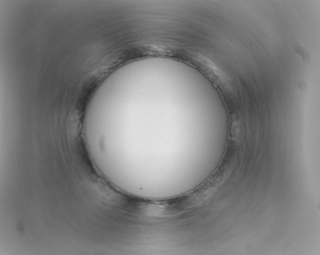 X0000115830318200911271204