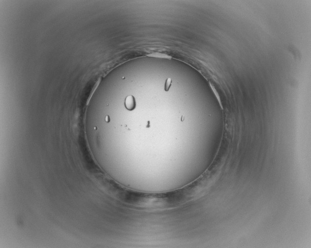 X0000115830319200911271204