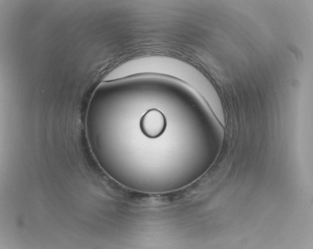 X0000115830320200911271204