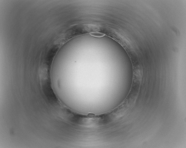 X0000115830323200911271204