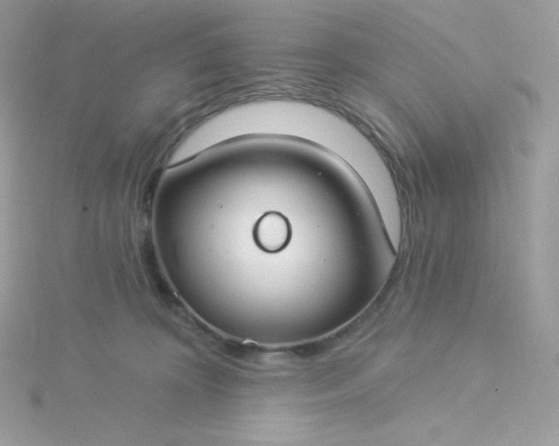 X0000115830324200911271204